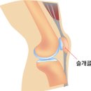 데이동물의료센터 이미지