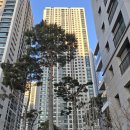 화서역푸르지오브리시엘 이미지