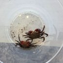 엄마와 함께 오감만족 오감놀이 이미지