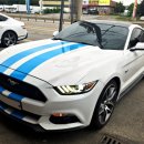 아성모터스 | 머스탱GT 샤우트 캣백 커스텀 가변배기. V8 시원한 하이톤 사운드 배기튜닝! 화성 배기튜닝 샤우트모터스