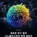 새로운 연구: 나노플라스틱, 면역세포 사멸 속도 높일 가능성 확인 이미지