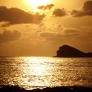 신창싱계물 이미지