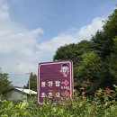 유관순열사기념관 | [ 충청남도 가볼만한곳 ] 천안 광복80주년 아이와가볼만한곳 독립운동가 유관순열사기념관