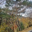 예술스크린골프존 | 골프존카운티 선운CC 라운드 후기 (Feat. 하루는 아쉽지)