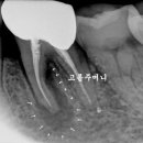 더바른윤치과의원 이미지