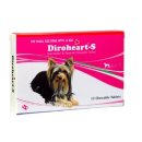 정동물약국 이미지