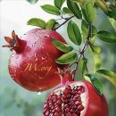 행복한아침 이미지