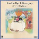 Cat Stevens - Wild World 이미지