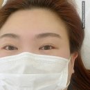 노멀라인속눈썹&브로우구미
