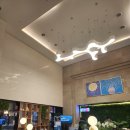 마리나오션스테이 이미지