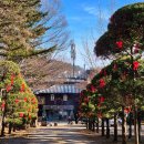 낙동강변로4-36 | 겨울 남이섬 여행 | 가평 가볼만한곳 먹거리·주차·카페 총정리