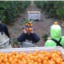 인종수농장 이미지