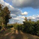 열린농장 이미지