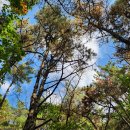 지수종합건설㈜ | 251025 &lt;관악산&gt; 서울대 건설환경종합연구소 ~ 연주대 초보자코스 등산화 없이 등산 후기