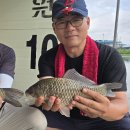덜커덩 4짜 세마리!! 송전지 수원좌대 이미지