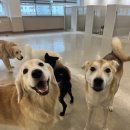 센텀유치원 이미지