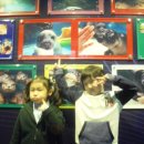 씨디월드 이미지