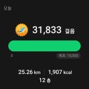 연동2교 | 3/12 제주 올레길 17코스 후기