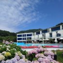 수국펜션 이미지