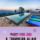 장투어여행사 네이버블로그