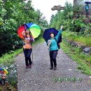 비봉산(포란사) 이미지