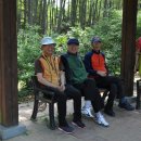 일동수목원 이미지