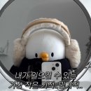 금옥골숲속작은마을 | [캠핑일기 #16] 춘천 | 금옥골숲속작은마을 캠핑장 | 애견동반 | C1사이트 | 카페 소울로스터리