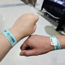 울산역로 | [울산/언양] 2025 울산 K렙타일페어 / 유에코, 파충류 박람회 후기, 울산 전시 컨벤션센터, 솔직후기