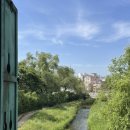 피자원 | 2025년에 먹기만 한 사람이 되