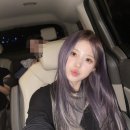 나인퍼플