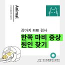 (주)온힐메디컬 | 강아지 한쪽 마비 증상, 목디스크 MRI로 정확히 확인 ㅣ 남양주 별내 위드힐동물메디컬센터