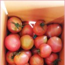 토토농장 이미지