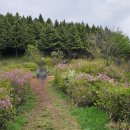 전북특별자치도 학생수련원 | 지리산 바래봉 - 전북학생수련원 ~ 세동치 ~ 바래봉 삼거리 ~ 바래봉 ~ 용산주차장