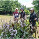 내곡동279 이미지