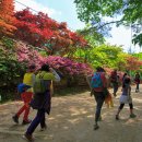 새재넘어 소조령길  마당바우구간 이미지