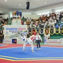 태권도 대한체육관 이미지