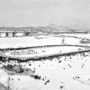 건강식당 이미지