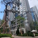 강남엘공인중개사사무소 이미지