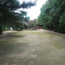 완산-147 Daum카페