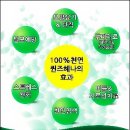 퀸즈헤나 네이버블로그