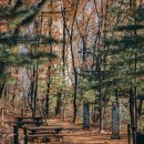 광덕산근린공원 이미지