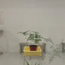 듀베티커피숍