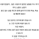 한강 -편지- 노벨문학상의 시작점이 아닐까 이미지