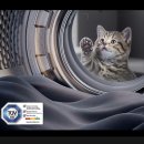 제천세탁 이미지