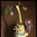 산호유통 이미지