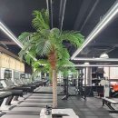 CUBA FIT(쿠바핏) | 서울마포구헬스장,쿠바핏,가격주차꿀팁