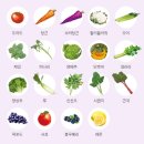 달달과일야채