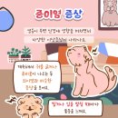 바른동물메디컬센터 이미지