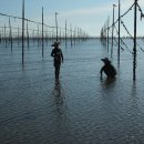 등구농장 이미지