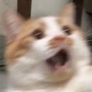 보수동 주민센터 | [구덕신협 서포터즈 4기] EP1. 구덕신협 방문 후기